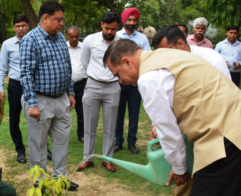 Rajasthan CS plants sapling on environment day
